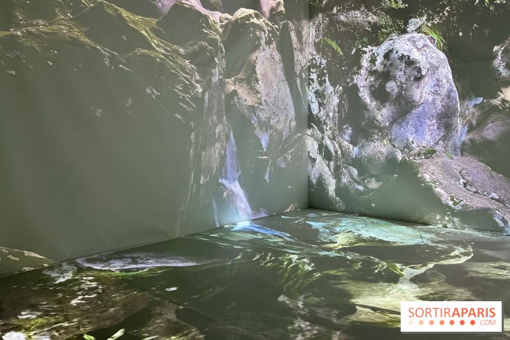 Topologie de l’Eau : Roches, Plantes et Vent - IMG 3261