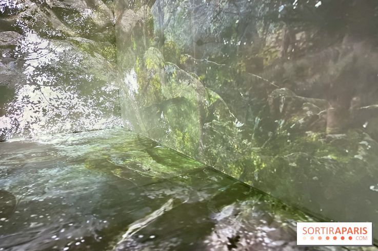 Topologie de l’Eau : Roches, Plantes et Vent