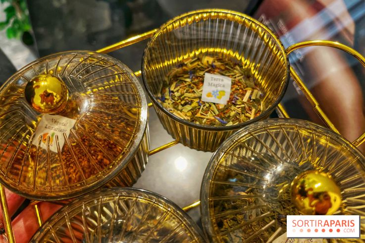 Hôtel et spa Belmont - IMG 3129