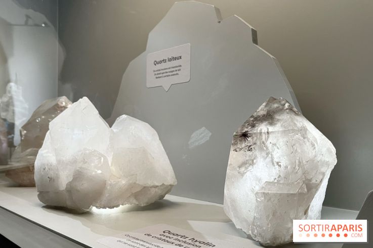 Transparence au Palais des enfants - nos photos - 80F0658F 4B6A 4B30 972F A93D2E0BA33E