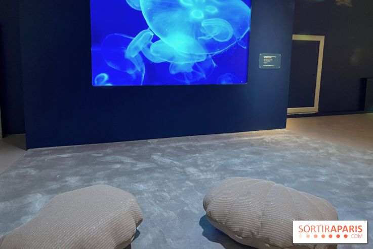 Transparence au Palais des enfants - nos photos - A9C8FEA1 98EA 4475 B97F A6EDF86F4C96