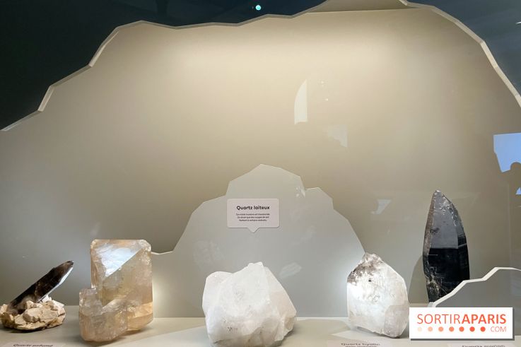 Transparence au Palais des enfants - nos photos - A6B826E2 B80F 4301 9DF2 02FE493C6560