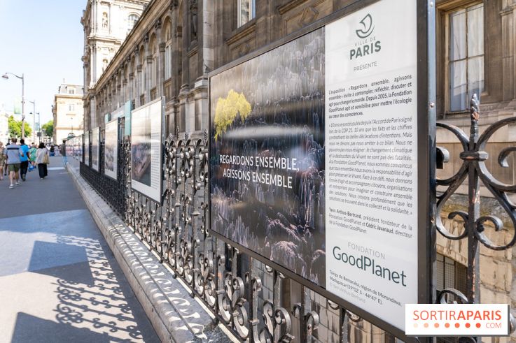 Hôtel de Ville - De Paris à Belem - Forêt Urbaine - Obey  - A7C03050