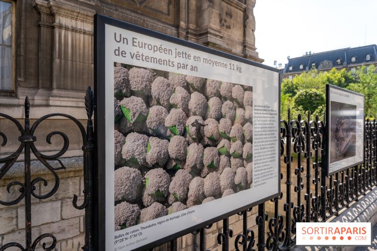 Hôtel de Ville - De Paris à Belem - Forêt Urbaine - Obey  - A7C03051