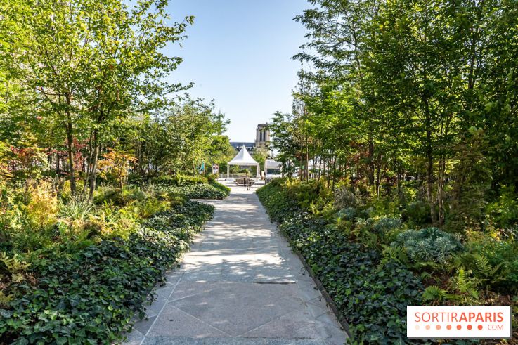 Hôtel de Ville - De Paris à Belem - Forêt Urbaine - Obey  - A7C03314