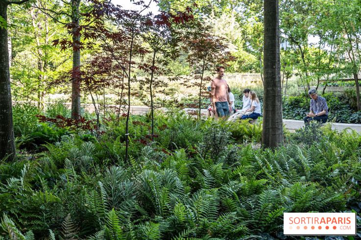 Hôtel de Ville - De Paris à Belem - Forêt Urbaine - Obey  - A7C03326