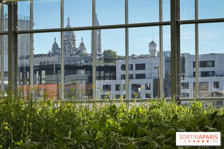 Rooftop Plantation Paris