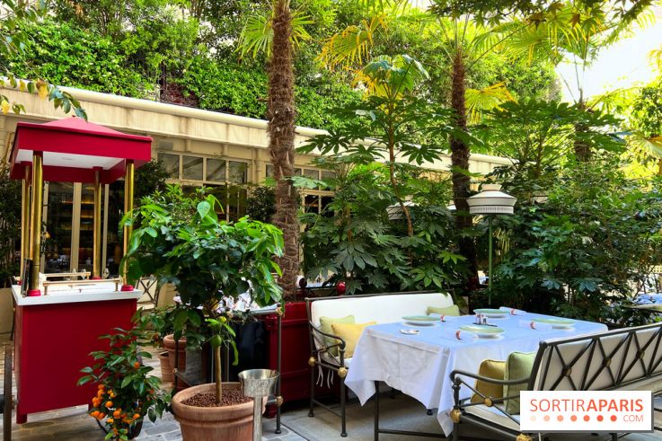 Patio terrasse La Réserve Paris - Terrasse