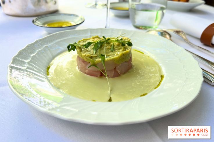 Patio terrasse La Réserve Paris - Ceviche de daurade