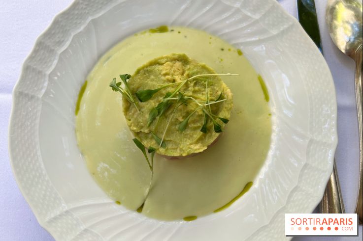 Patio terrasse La Réserve Paris - Ceviche de daurade