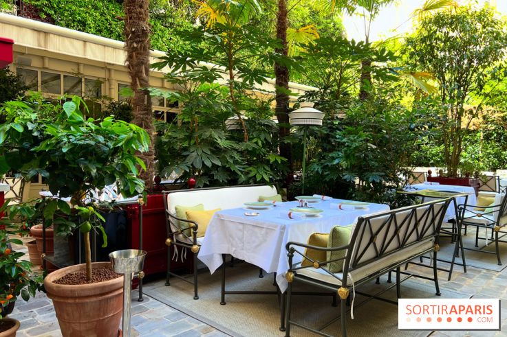 Patio terrasse La Réserve Paris - Terrasse