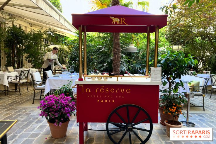 Patio terrasse La Réserve Paris - Terrasse