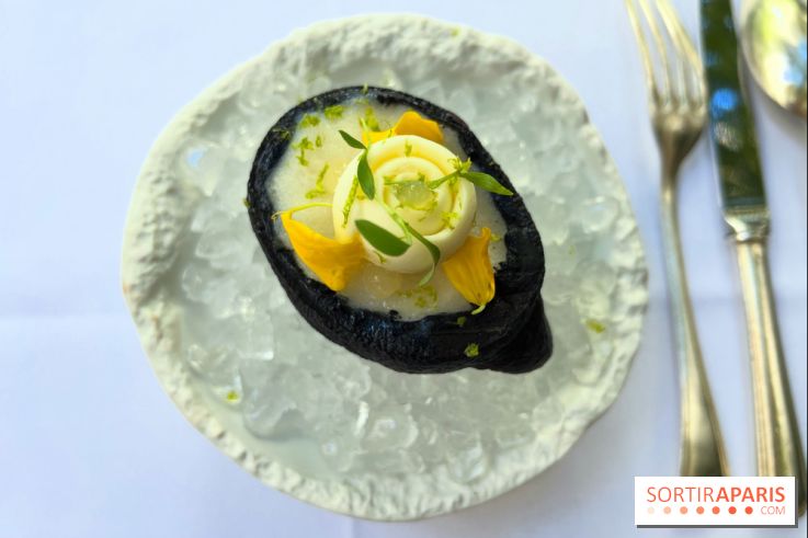 Patio terrasse La Réserve Paris - Citron givré