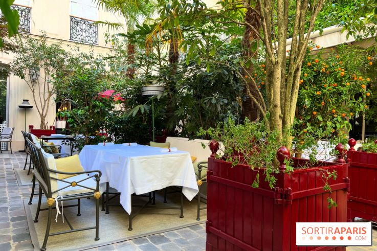 Patio terrasse La Réserve Paris - Terrasse