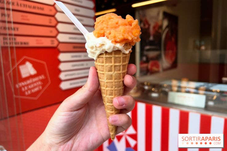 La Glace Alain Ducasse - Sorbet pamplemousse-vermouth, glace cacahuètes