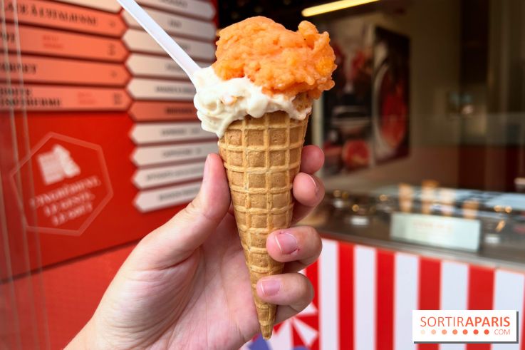 La Glace Alain Ducasse - Sorbet pamplemousse-vermouth, glace cacahuètes