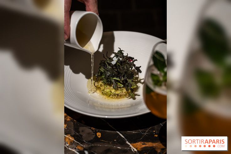 Maison Delano restaurant et terrasse cachée Paris 8e - tourteau au bouillon dashi