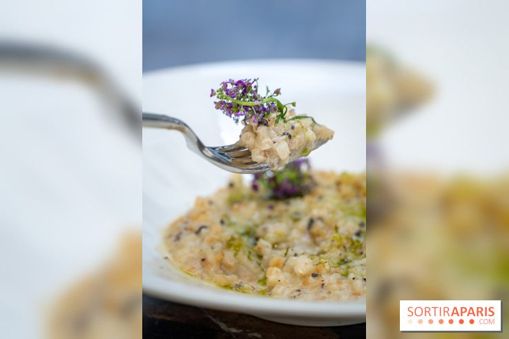 Maison Delano restaurant et terrasse cachée Paris 8e - céleri façon risotto