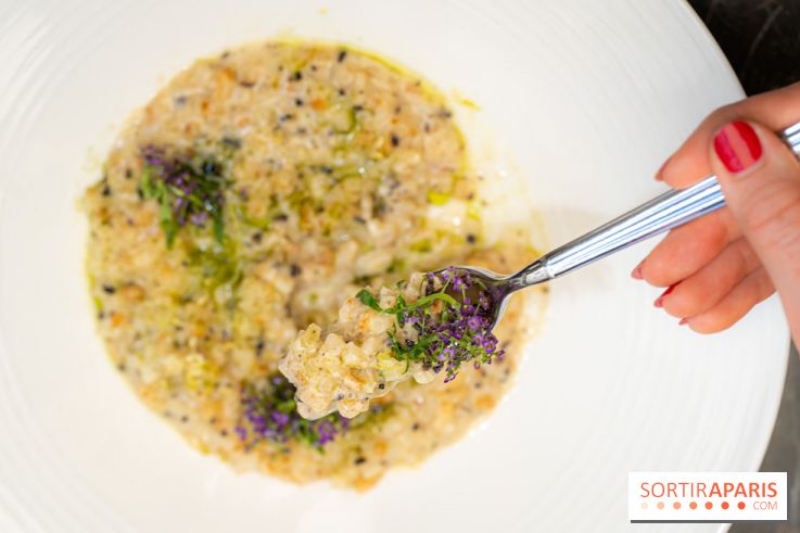 Maison Delano restaurant et terrasse cachée Paris 8e - céleri façon risotto