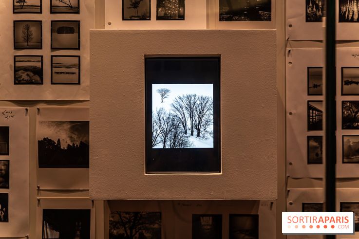 Exposition Haïkus d’argent, l’Asie photographiée par Michael Kenna au MuséeGuimet, les photos - A7C02213