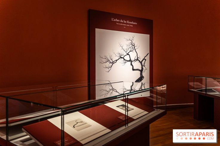 Exposition Haïkus d’argent, l’Asie photographiée par Michael Kenna au MuséeGuimet, les photos - A7C02215