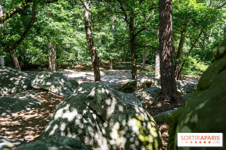 La Folie Barbizon, l'hôtel et restaurant renait entre art et nature - les photos  - A7C03869