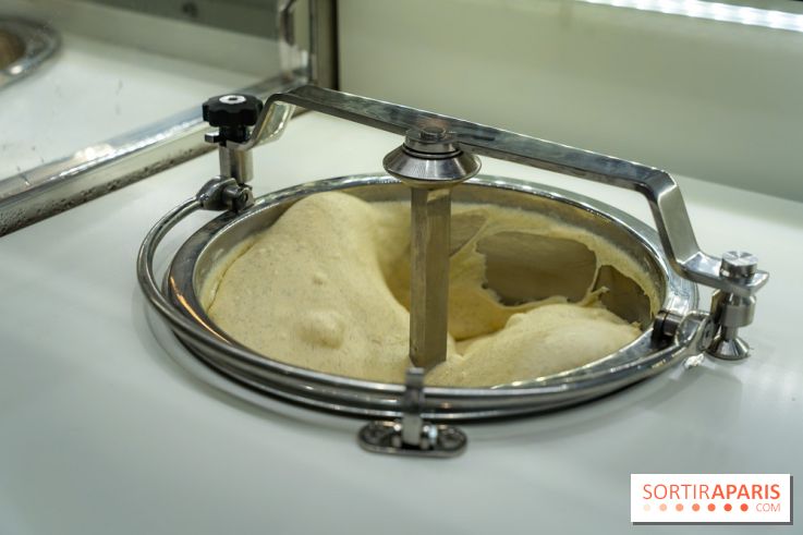 Pedone, le glacier Italien Paris 1er