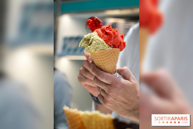 Pedone, le glacier Italien Paris 1er