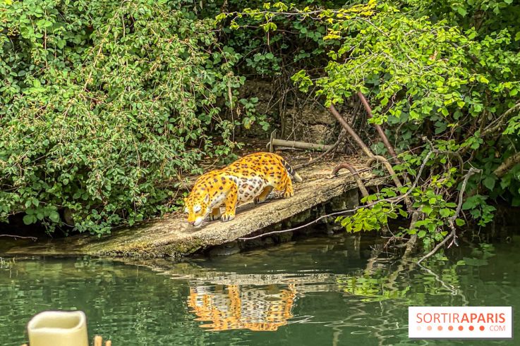 Adventure Boat : l’expérience immersive sur un bateau à Nogent-sur-Marne - IMG 6607