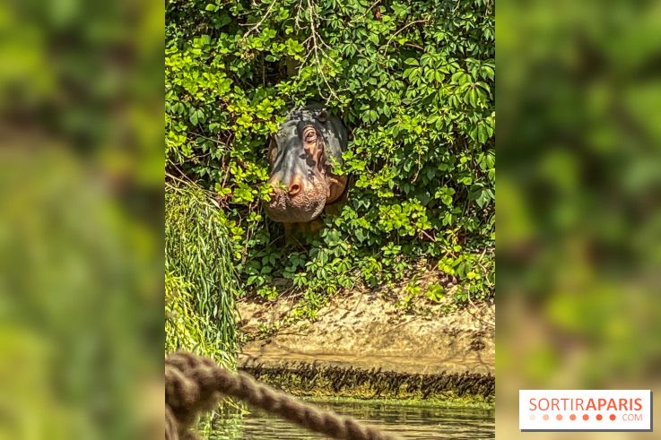 Adventure Boat : l’expérience immersive sur un bateau à Nogent-sur-Marne - IMG 6611