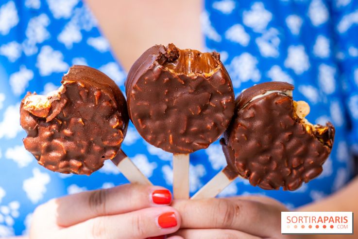 Les bouchées glacées de la Chocolaterie William Artigue, les esquimaux gourmands