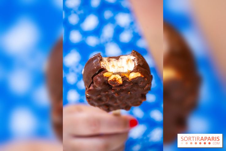 Les bouchées glacées de la Chocolaterie William Artigue, les esquimaux gourmands