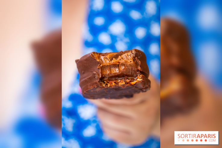 Les bouchées glacées de la Chocolaterie William Artigue, les esquimaux gourmands