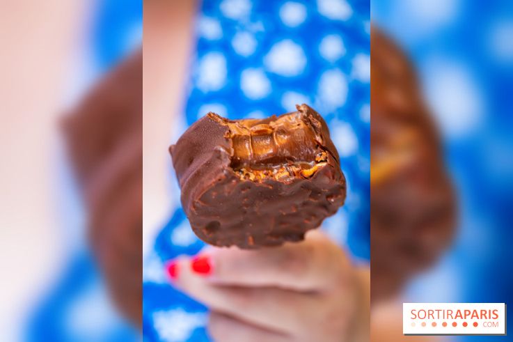 Les bouchées glacées de la Chocolaterie William Artigue, les esquimaux gourmands