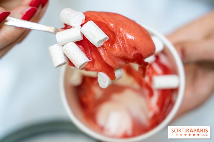 Les glaces gourmandes de l'Épicerie du Bristol - les photos