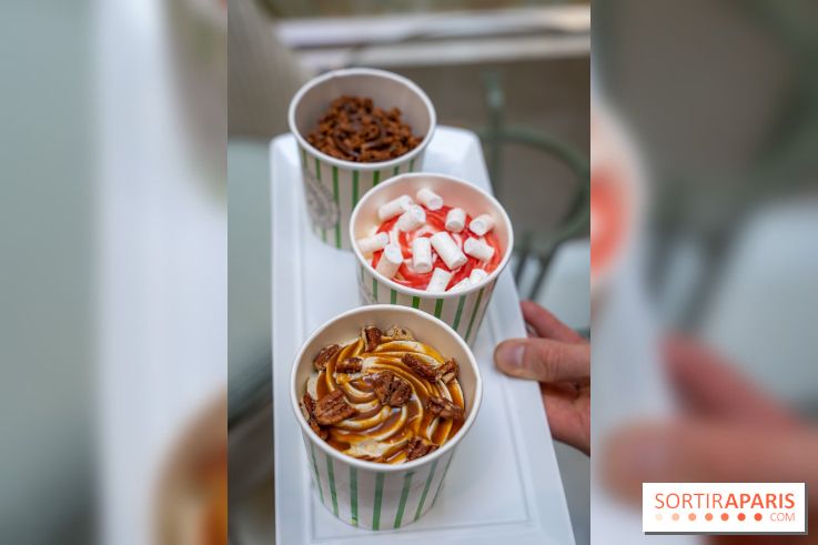 Les glaces gourmandes de l'Épicerie du Bristol - les photos