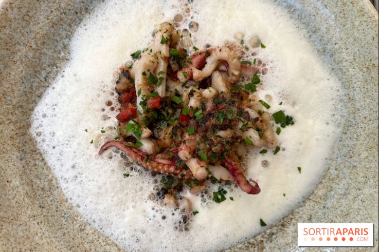 Divellec - Encornets en persillade, chorizo