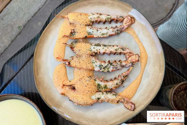 Divellec - Langoustines grillées