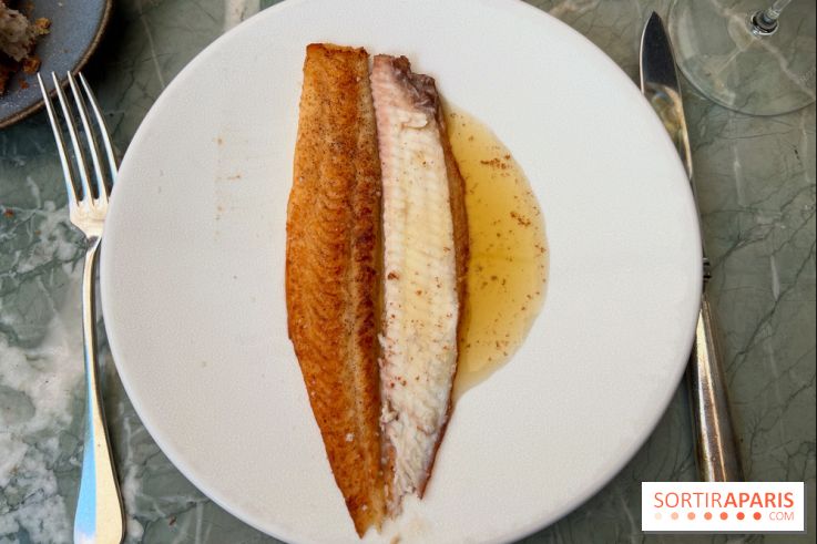 Divellec - Sole meunière