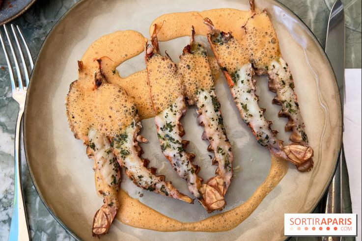 Divellec - Langoustines grillées