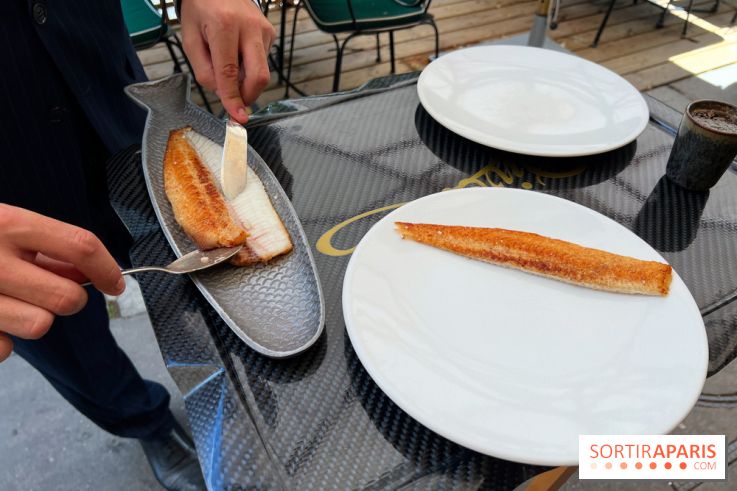 Divellec - Sole meunière