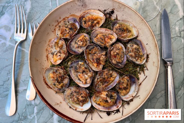 Divellec - Palourdes gratinées