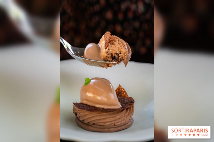 Restaurant Papylles à Bois-le-Roi - les photos - Le chocolat 66% Nicolas Berger En texture et en crémeux, praliné au grué de cacao, sorbet chocolat