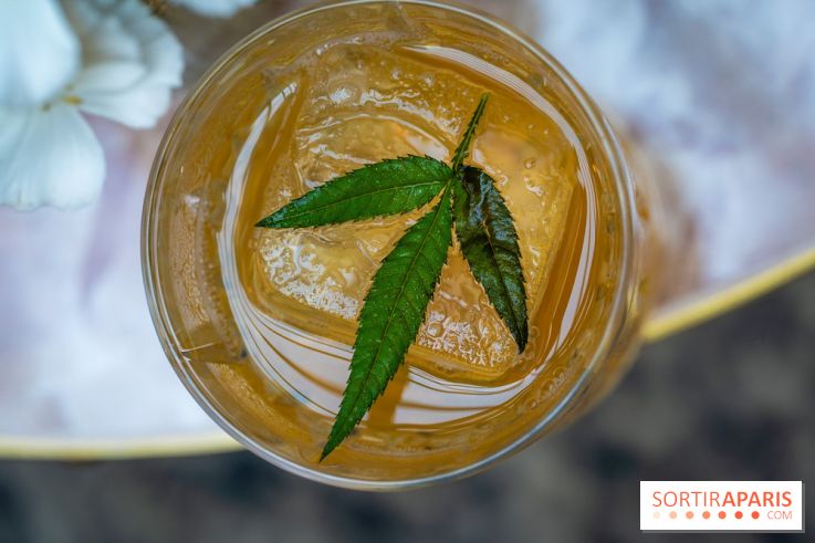 Frivole, restaurant festif, bar et terrasse cachée à Paris, les photos - A7C04326