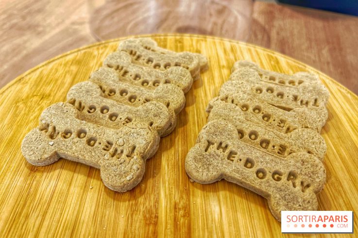 The Dogry - IMG 3599