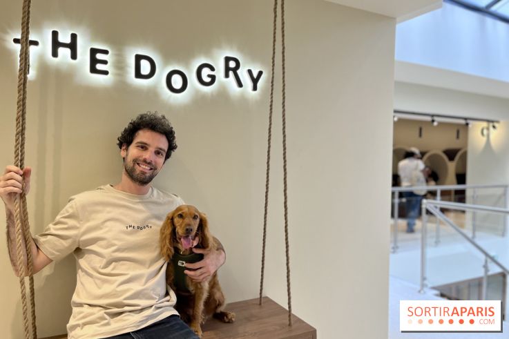 The Dogry