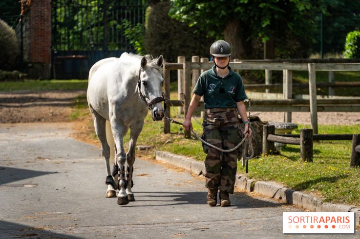 Visite guidée de l'École Mlitaire d'Équitation