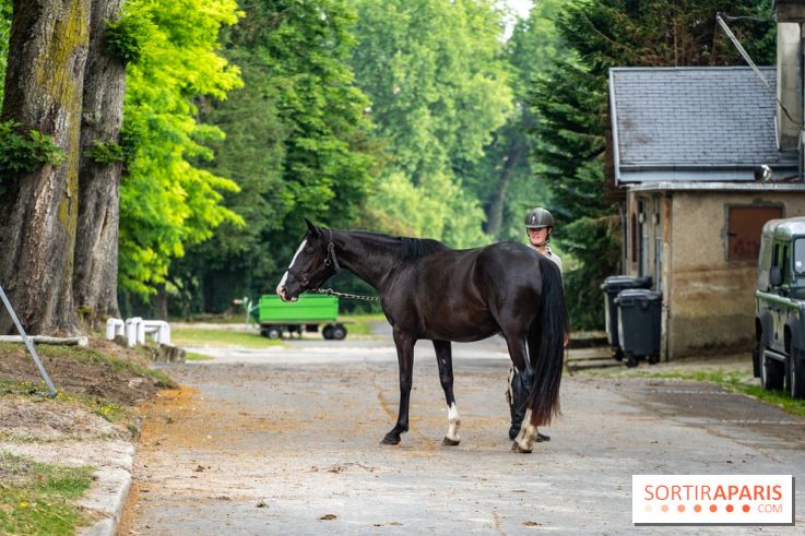 Visite guidée de l'École Mlitaire d'Équitation - A7C02319