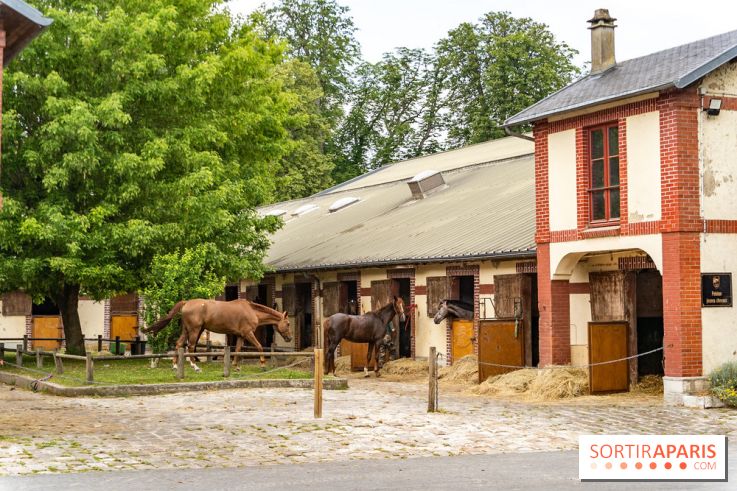 Visite guidée de l'École Mlitaire d'Équitation