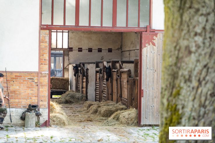 Visite guidée de l'École Mlitaire d'Équitation